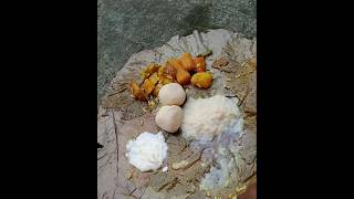 radha ashtami menu🥰🥰 shortsvideo [upl. by Queridas571]