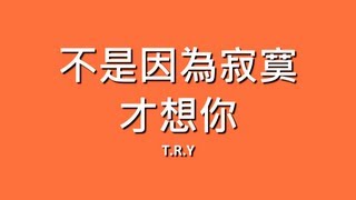 TRY  不是因為寂寞才想你【歌詞】 [upl. by Atteiram]