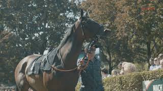 Galopprennbahn BadenBaden  Aftermovie Baden Galopp 2021 [upl. by Libbey846]