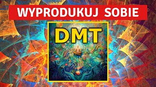 Wyprodukuj Sobie DMT Prowadzona Sesja Oddechowa [upl. by Niamart68]