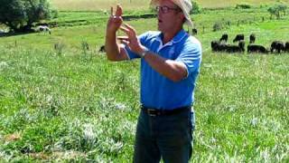 Joel Salatin of Polyface Farms discusses grassfed cattle [upl. by Simonette]