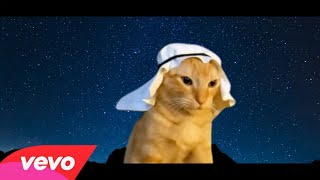 Arabian cat  Official Music VIdeo ftPanjabi MC [upl. by Nahor]