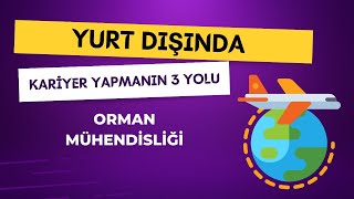 Orman Mühendisliği Mezunları İçin Yurt Dışında Kariyer Yapmanın 3 Yolu [upl. by Rena]