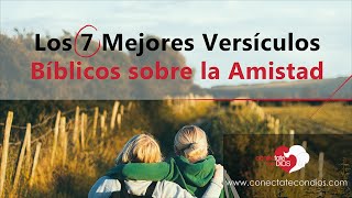 🤝 Los 7 Mejores Versículos Bíblicos sobre la Amistad Frases Bíblicas de Amistad [upl. by Hurless125]