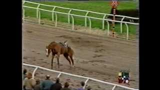 Scary Incident at Southwell Racecourse [upl. by Lj]