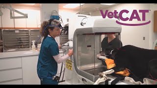 VetCAT portable CT for Veterinarians [upl. by Kano452]