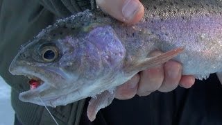 Big Sky Outdoors  Ice fishing Bair Reservoir for rainbow trout [upl. by Elvyn]