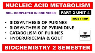 Unit 4 Biosynthesis of Purine and Pyrimidine nucleotides  Gout  Part 2  Biochemistry 2nd sem [upl. by Ahsielat]