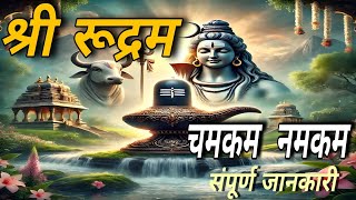 श्री रूद्रम चमकम नमकम complete documentry [upl. by Phyl]