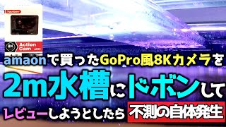 【大型水槽】2m水槽に念願の8Kカメラを投入したら悲惨な事になった【8KアクションカメラレビューAR01】 [upl. by Letsou]