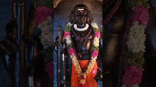 Murugaaaa 🥹🤲🏻🪷🦚⚜️✨ tamil songwhatsappstatus murugasongs viralvideo [upl. by Gnas]