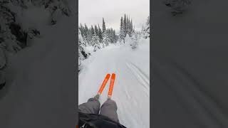 Noob skier hits the side trails  Insta 360 x3 [upl. by Rossen]