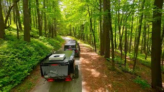 Overlanding the War Woman WMA in Georgia [upl. by Rehtae]