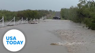 Watch Fish struggle to swim across flooded Texas road  USA TODAY [upl. by Hamel]