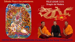 240210 Celebración del Losar 2151 Puja de los protectores y ofrenda de Tsok [upl. by Werda]