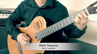 Meta Sequoia  Harry Sacksioni [upl. by Cony223]