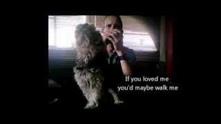 Singing Yorkshire Terrier dog howls sings the blues with harmonica [upl. by Cardie]