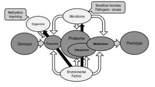 Introduction to Proteomics [upl. by Schwing]