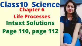 Class10 Science Chapter 6 Life Processes Intext Questions Page no 110Page no 112 [upl. by Cleodell782]