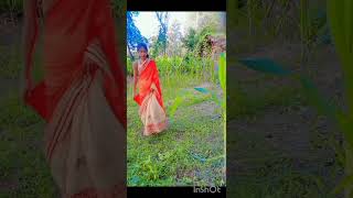 Parikshan karyalay lagati hai sariya resort video [upl. by Brechtel]