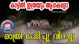 BANDIPUR FOREST NIGHT DRIVE  ഞങ്ങൾ രക്ഷപ്പെടുമോ  കാട്ടിൽ ഇത്രയും ആനകളോ முதுமலை [upl. by Kirschner]