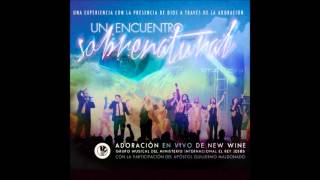 2 Movimiento Espiritual  New wine 2012 [upl. by Kcolttam]