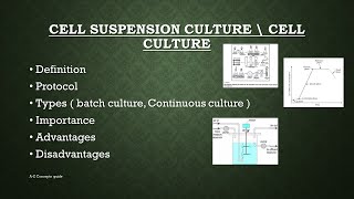 Cell Culture  Tips amp Tricks [upl. by Spencer]