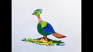 How to Draw Danphe National Bird of Nepal [upl. by Elden]