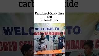 Reaction of Lime Water and CO2 education limewater carbondioxide reaction chemistry 10thclass [upl. by Erdnaxela]