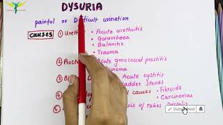 Dysuria  Medical Symptomatology Causes [upl. by Eerahc]