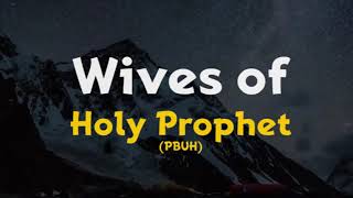 How many Wives did Holy Prophet PBUH have [upl. by Nannette]