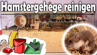 Hamstergehege reinigenKäfig Säuberung [upl. by Tadd27]