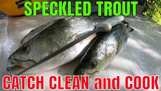 SPECKLED TROUT Catch Clean and COOK [upl. by Relyuc709]