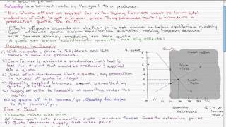 Microeconomics  89 Production Subsidies and Quotas [upl. by Braasch366]