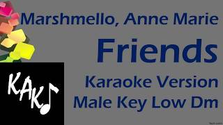 Marshmello  Marie Anne  FRIENDS Karaoke Cover Instrumental Lyrics Male Key Low Dm [upl. by Britney]