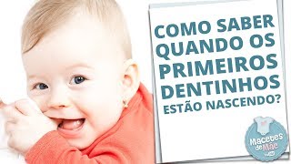 NASCIMENTO DOS PRIMEIROS DENTINHOS TUDO O QUE VOCÊ PRECISA SABER  MACETES DE MÃE [upl. by Wallinga742]