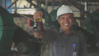 Werken aan betere arbeidsomstandigheden op palmolie plantages in Indonesië [upl. by Bollinger]