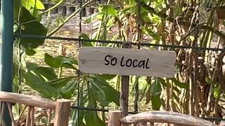 Soneva Jani Maldives  So local American restaurant  hotel tour [upl. by Candie]