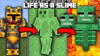 Minecraft LIFE AS A SLIME MOD  FIGHT AND SURVIVE THE PARKOUR RACE TO WIN AS A SLIME Minecraft [upl. by Minardi754]