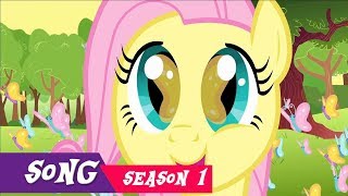 MLP Fluttershys So Many Wonders Song 1080pNo WatermarkswLyrics in Description [upl. by Brander]