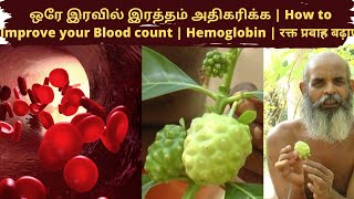 இரத்தம் அதிகரிக்க  How to improve your blood count  Hemoglobin  रक्त प्रवाह बढ़ाएं  ഹീമോഗ്ലോബിൻ [upl. by Sirenay]