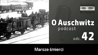 quotO Auschwitzquot odc 42 Marsze śmierci z Auschwitz do Wodzisławia Śląskiego i Gliwic [upl. by Thais]