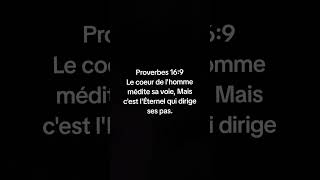 Proverbes 169 [upl. by Aneloaup]