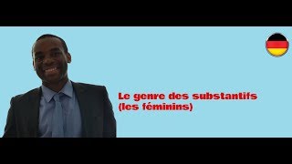 Cours dallemand A1 B2 Le genre des substantifs en allemand les féminins [upl. by Vidal648]