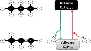 Conversions between alkanes and alkenes [upl. by Akinhoj]