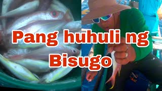 Isdang Bisugo  Pang huhuli fishing fishing fishingvideo viralvideo fish [upl. by Tima]