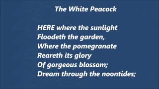 Stilwell Conducts quotThe White Peacockquot [upl. by Llireva]