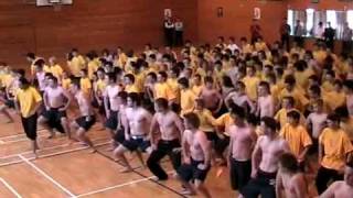 SBHS House Haka Competition 2008 [upl. by Launame]