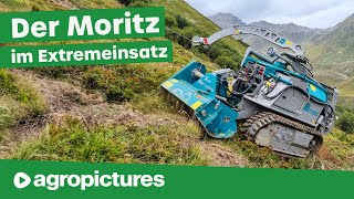 Pfanzelt Forstraupe Moritz in der Landschaftspflege mit Mulcher Mähwerk Holzhacker Schutzschirm [upl. by Nawtna966]