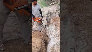 Husqvarna Chainsaw VS Big Wood chainsaw husqvarna shorts 1362 [upl. by Elolcin]